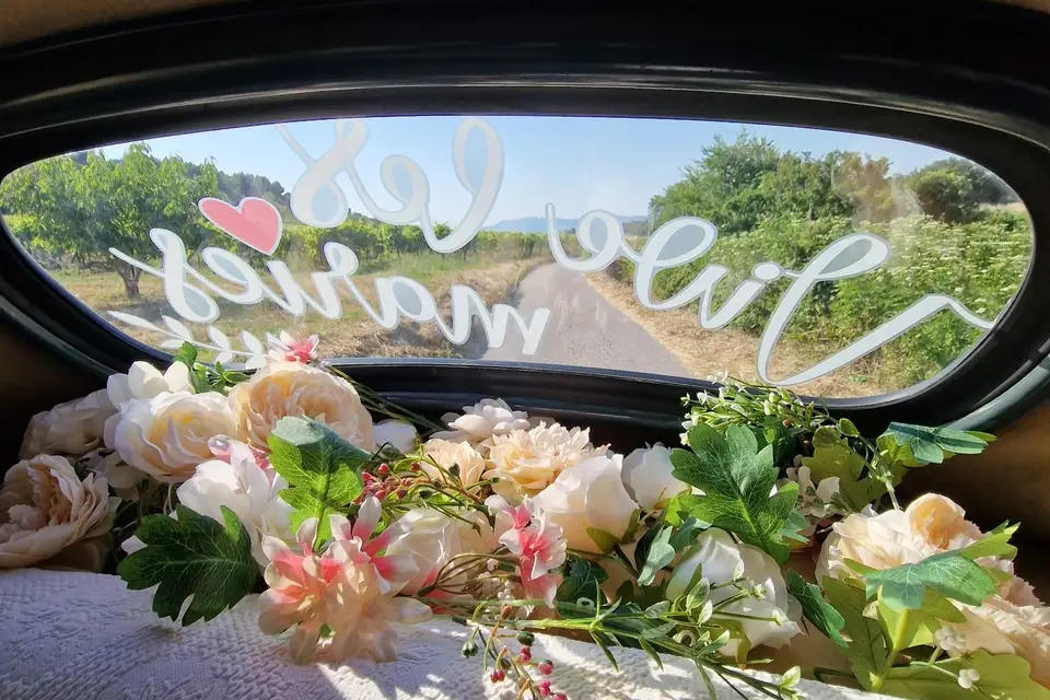 Benjamin Merino — photo 8