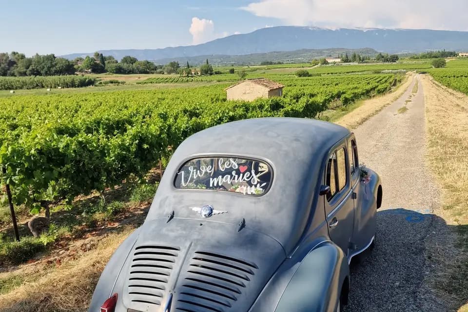 Benjamin Merino — photo 2