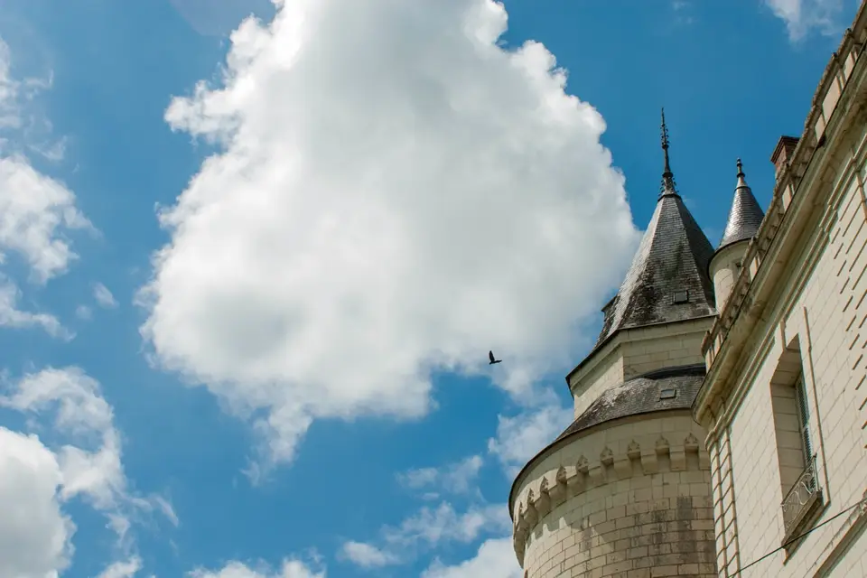 Château de Grillemont — photo 7