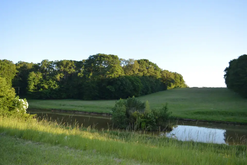 Château de Grillemont — photo 6