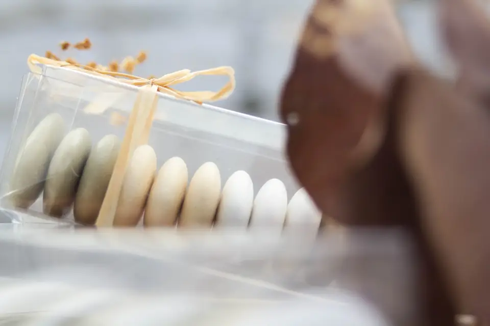 Bloom Berry — photo 5