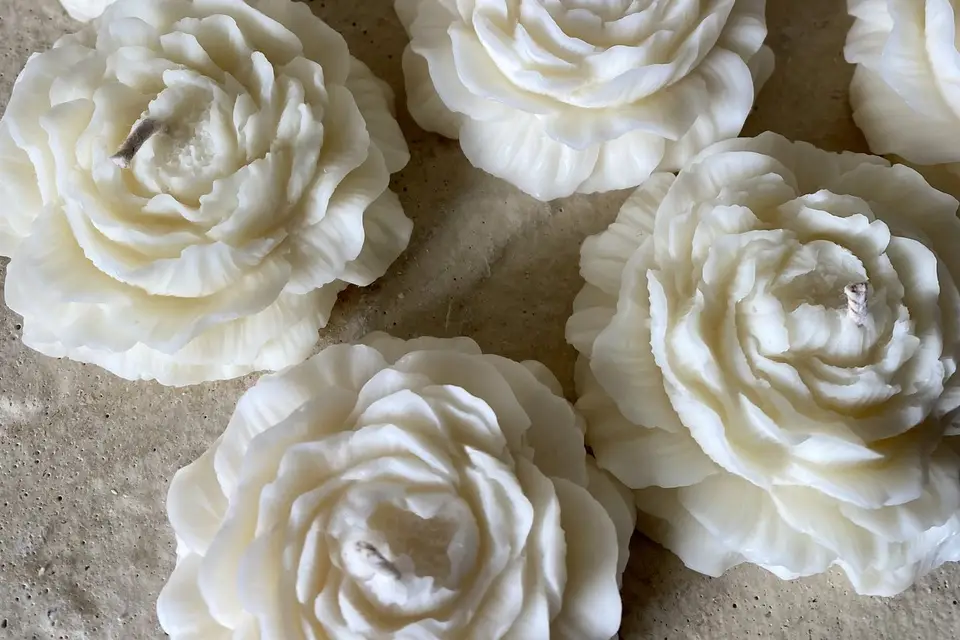 Pétale de Cire — photo 5