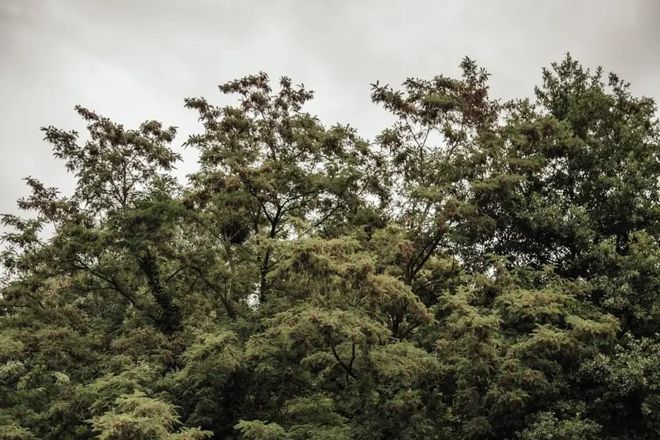 Un Brin Nomade — photo 5