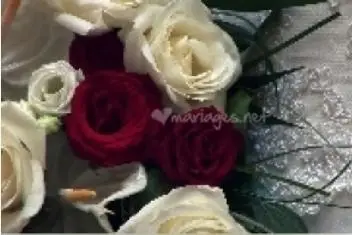 Videographer — photo 7