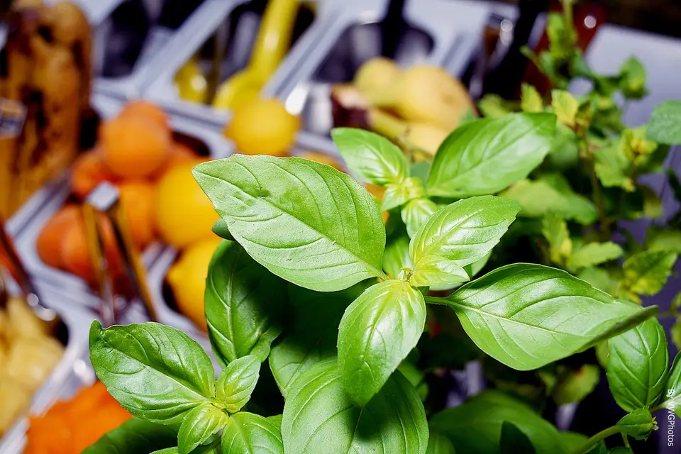 Création givrée — photo 3