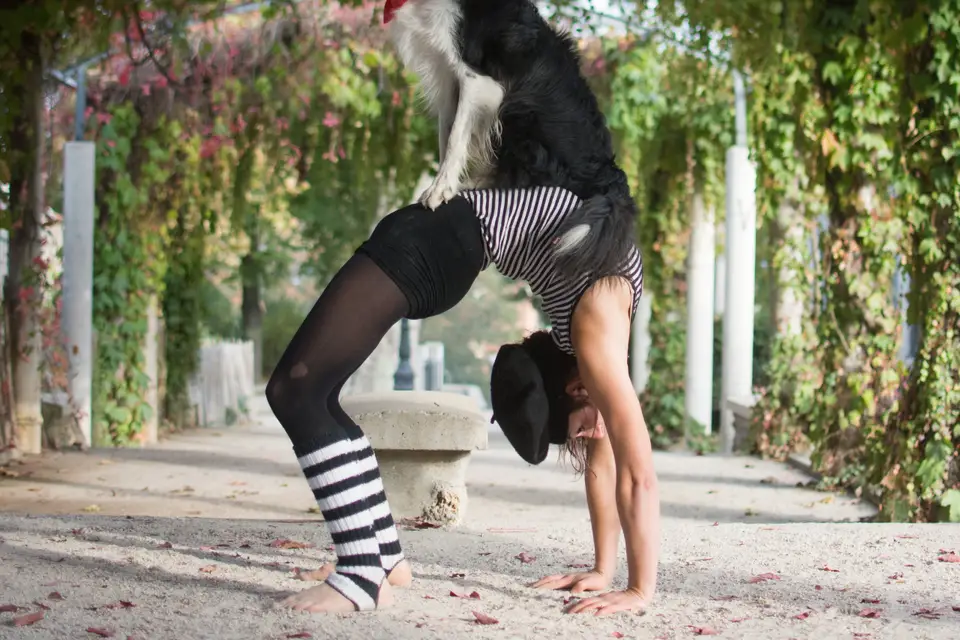 Oréade Spectacle — photo 2