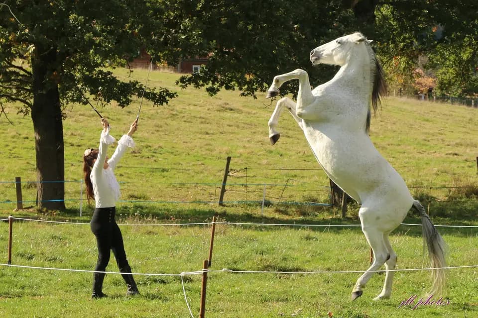 Oréade Spectacle — photo 1