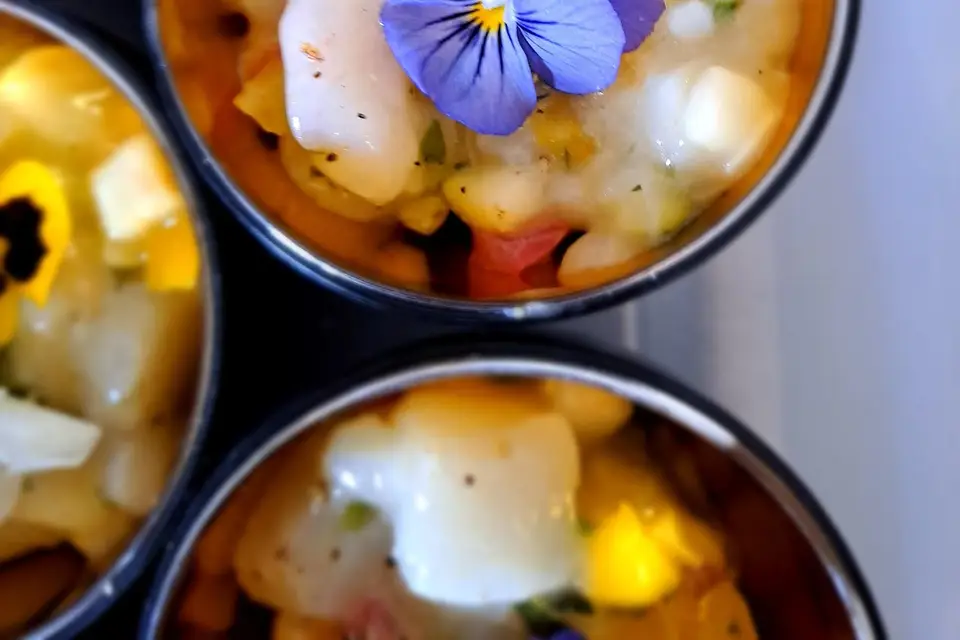 Les Cocottes en picnic — photo 8