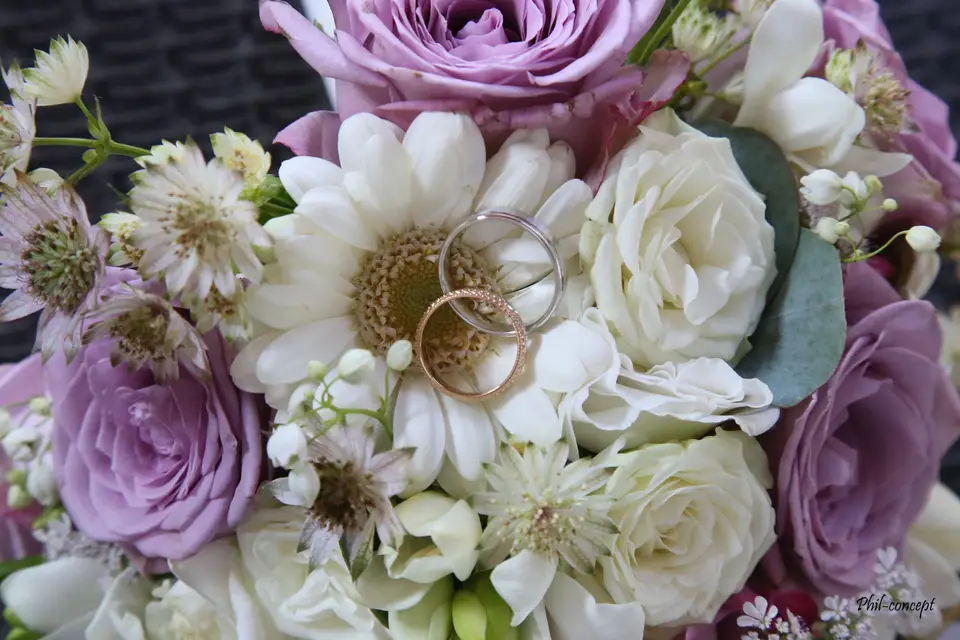 Phil Concept — photo 2