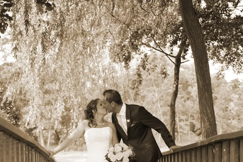 Phil Concept — photo 7