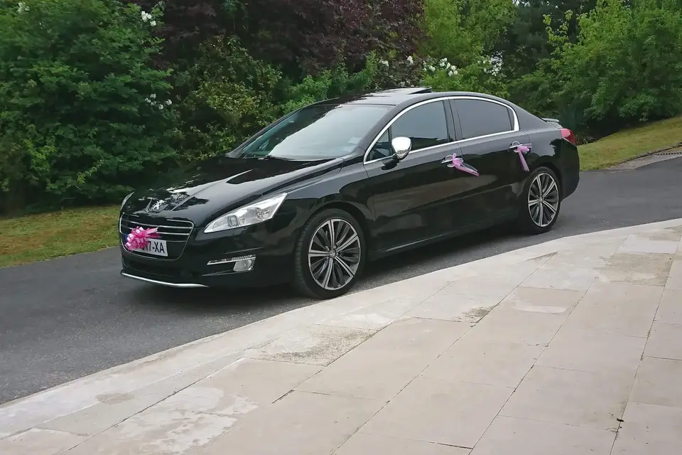 MB Luxury — photo 6