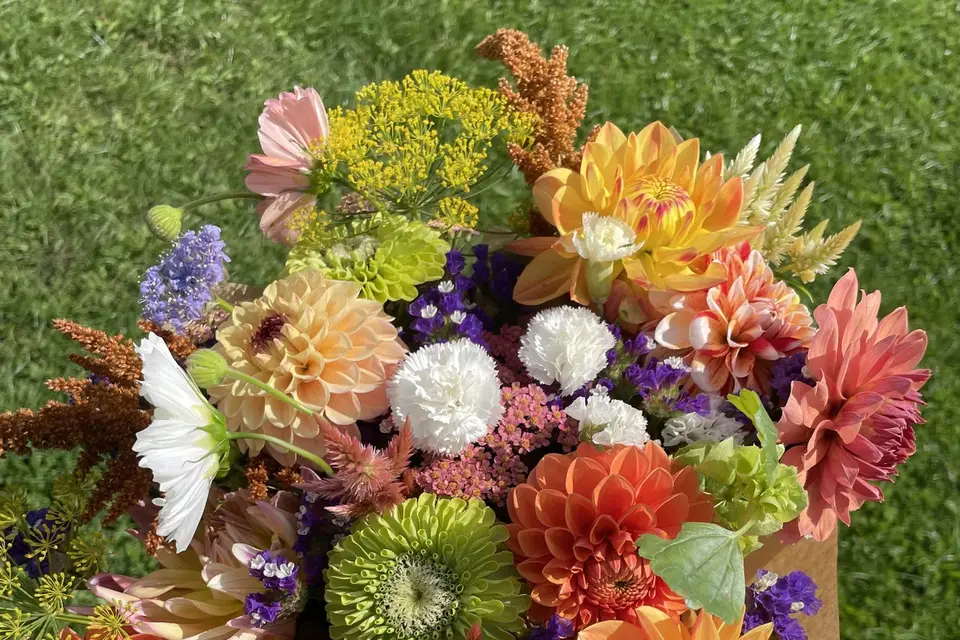 Pâquerette & Grelinette — photo 3