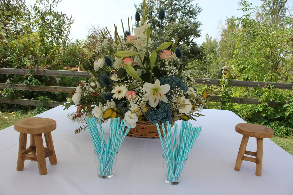 Domaine Laloubin — photo 5