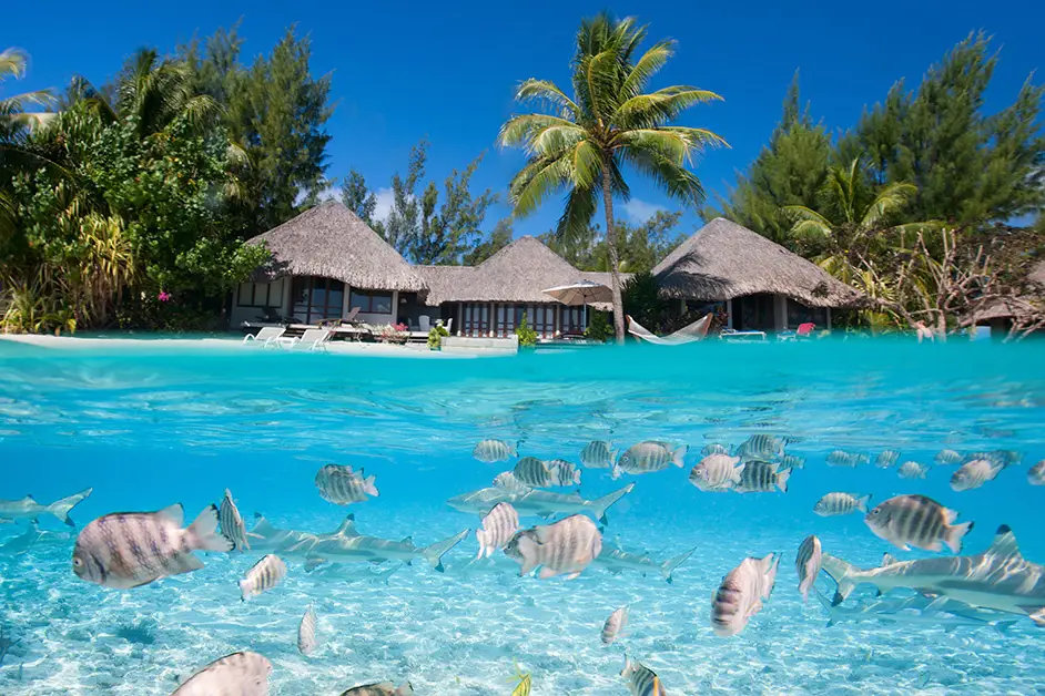 GlobeSailor — photo 4