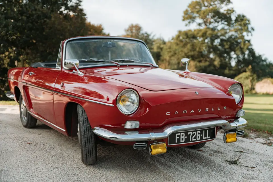 Team Tastefully — photo 7