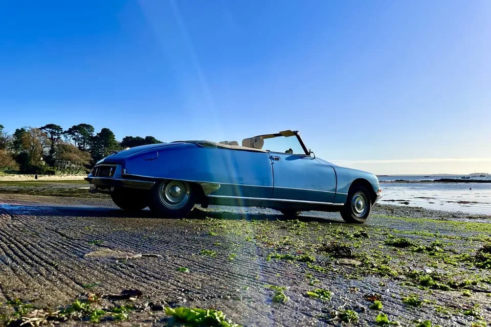 Team Tastefully — photo 6