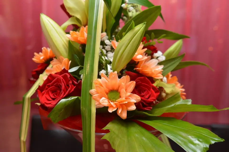 Raise Events — photo 1