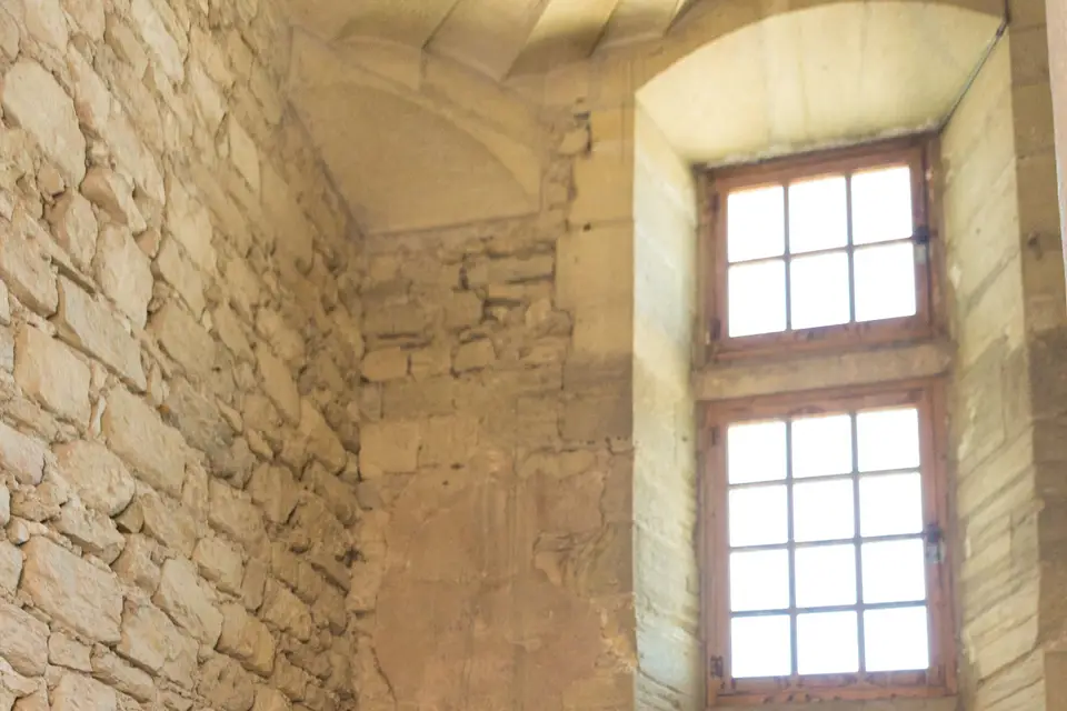 Regard Naturel — photo 2