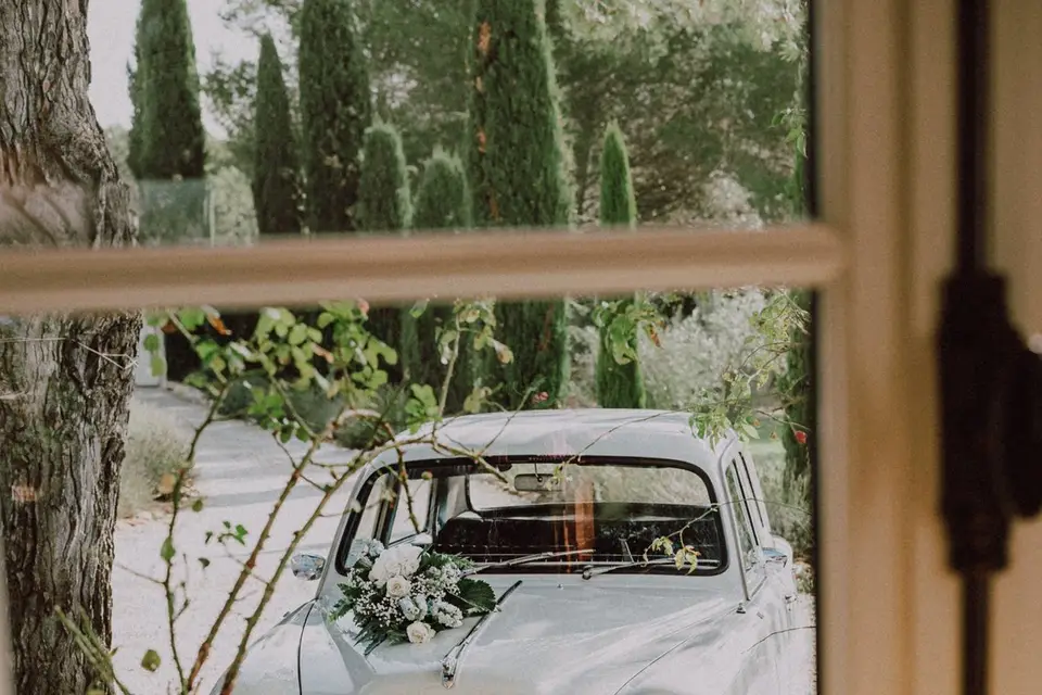 La magie de l'instant — photo 2