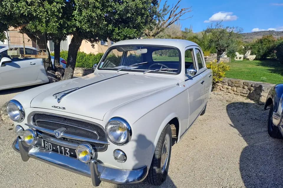 La magie de l'instant — photo 7