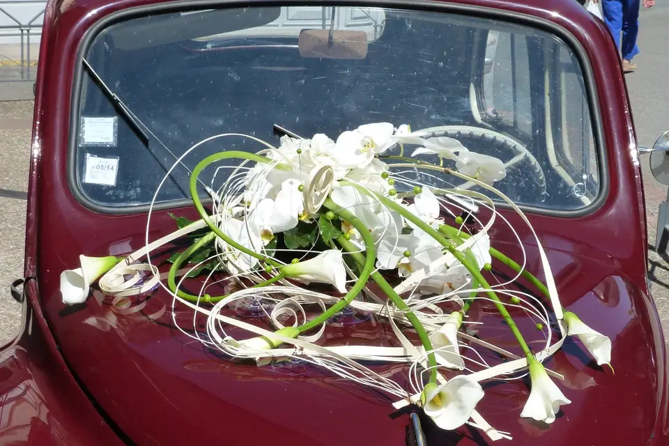 Branchée Fleurs — photo 2