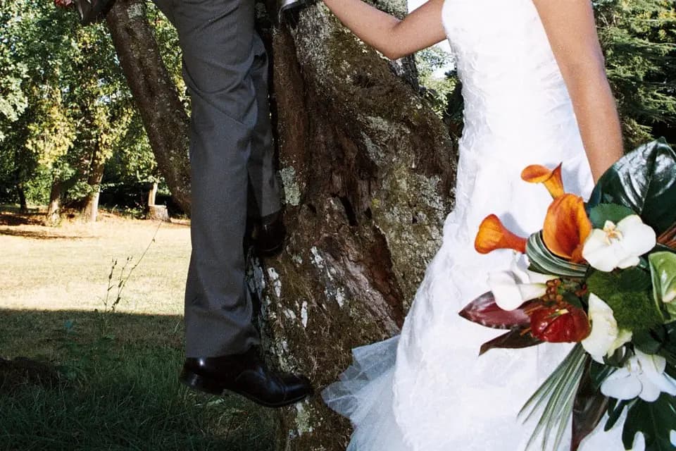 L'Oeil Photographique — photo 4