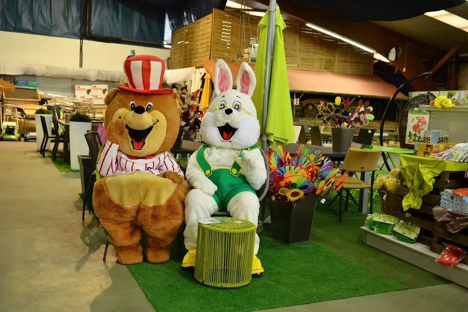 R.M.V. Animation — photo 3