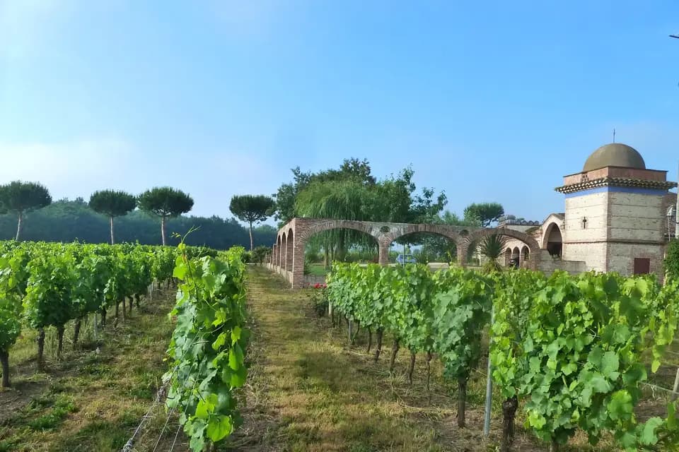 Château Saint Louis — photo 2