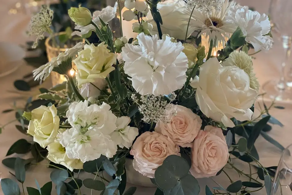 L'Agence du Clair de Lune — photo 5