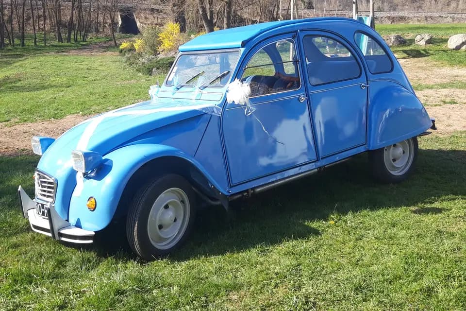 Dechaune Orgadeco — photo 2