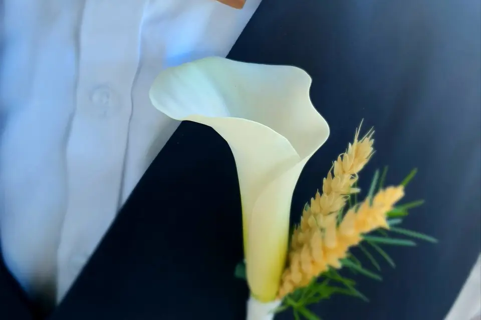 Dechaune Orgadeco — photo 4