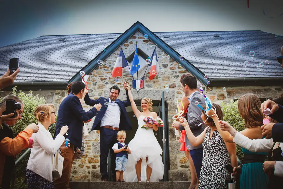 Owl'medias — photo 1