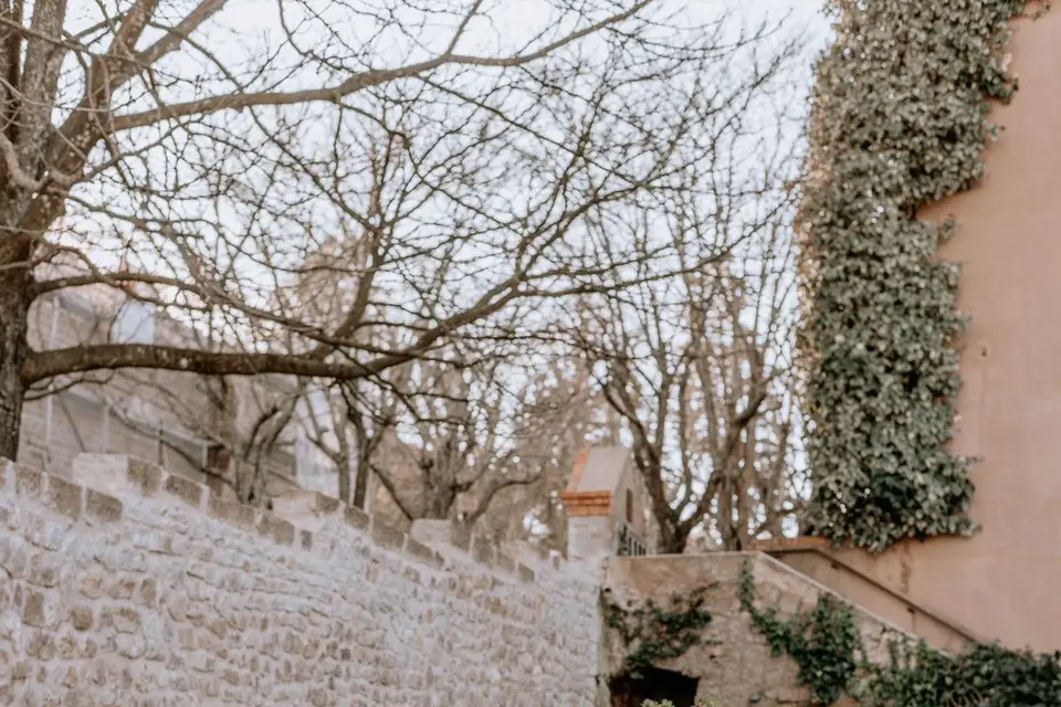 Au Clair de Lune — photo 4