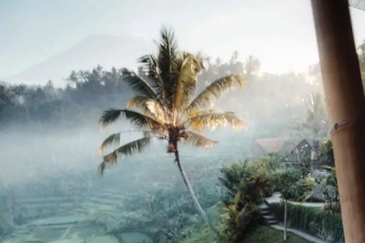 Travel Design — photo 4