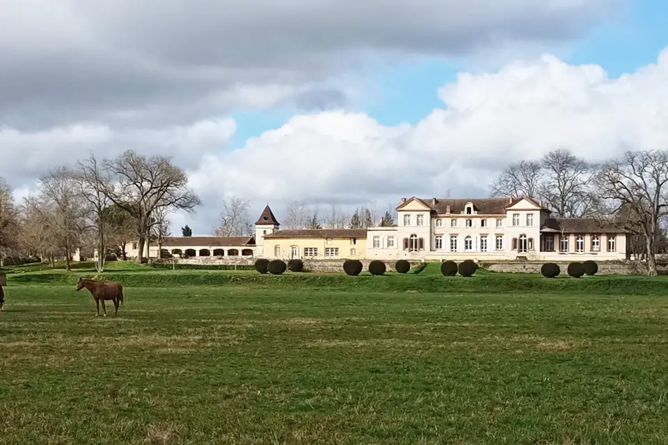 Château de Lavelanet de Comminges — photo 8