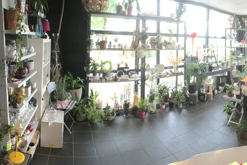 Secrets de Fleurs — photo 7