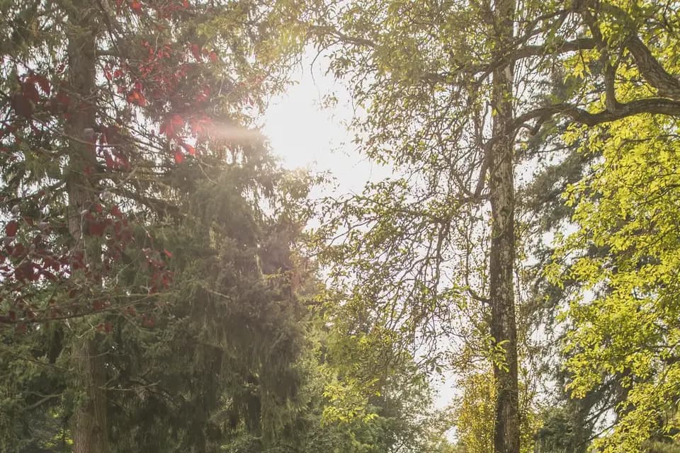 Château de la Houssoye — photo 8