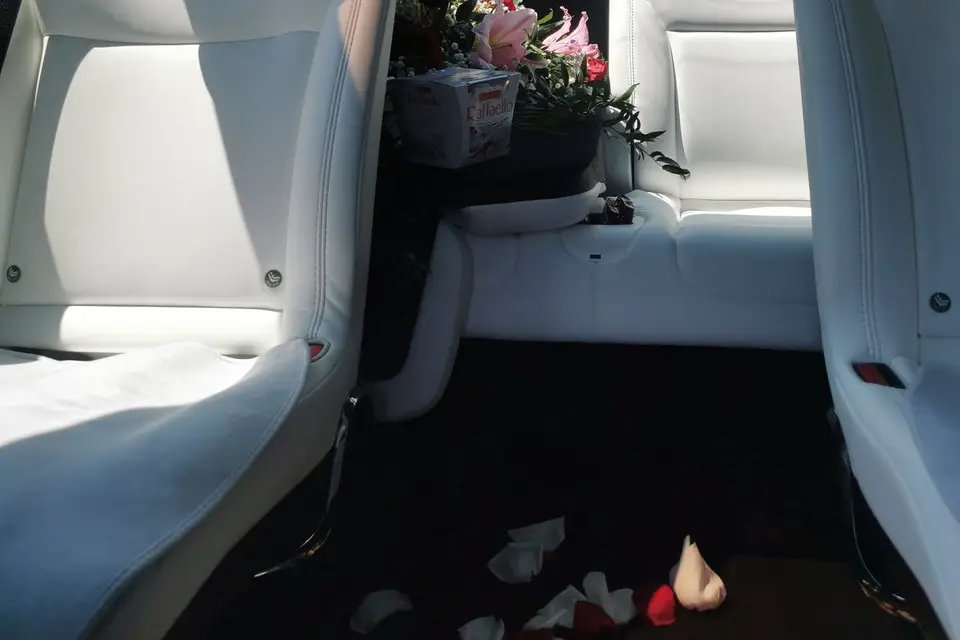 Single Day — photo 6