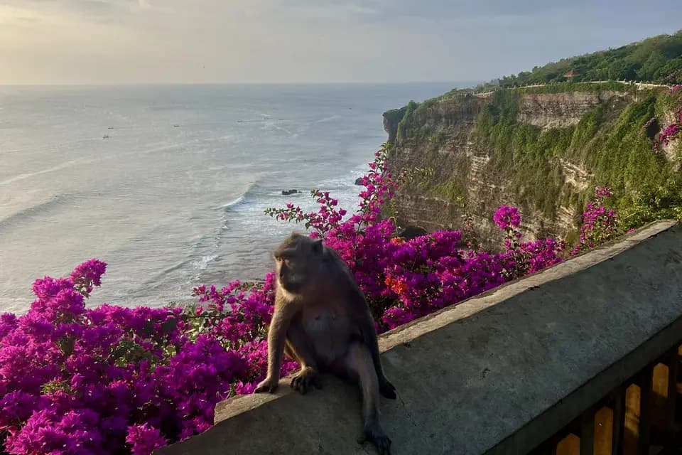 Once Upon A Travel — photo 8