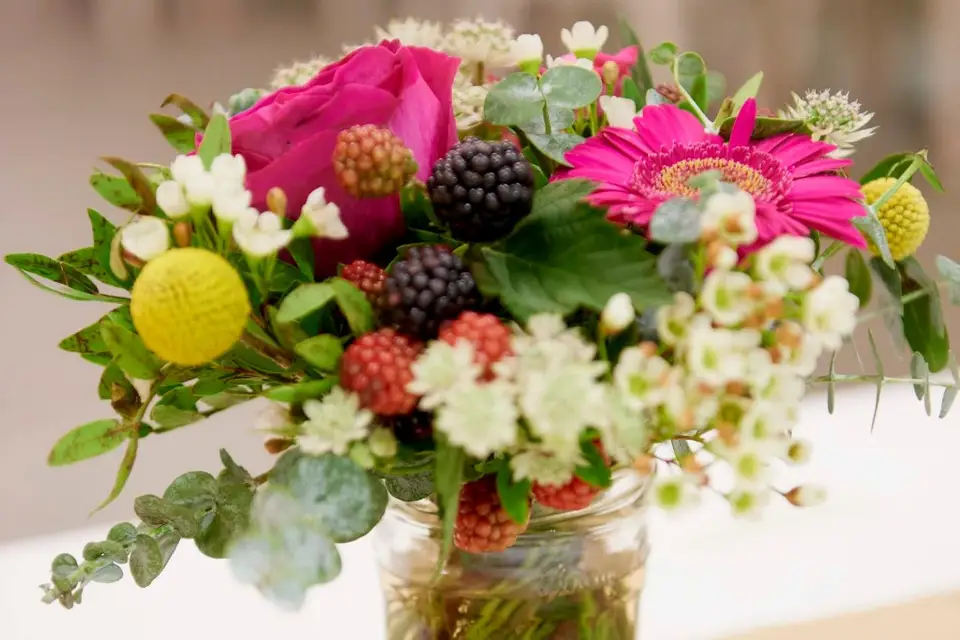 Poésie végétale — photo 8