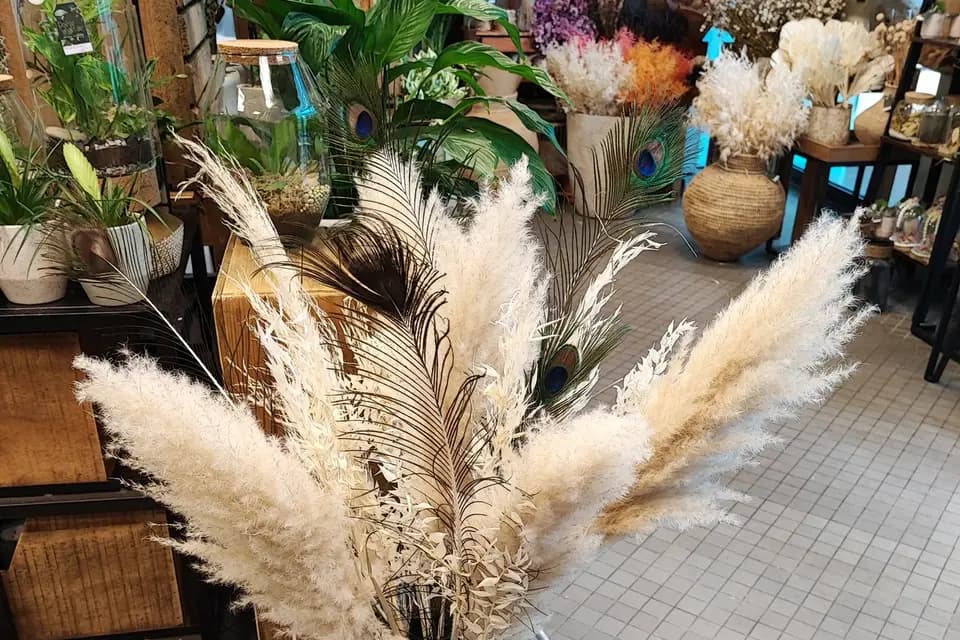 Poésie végétale — photo 4