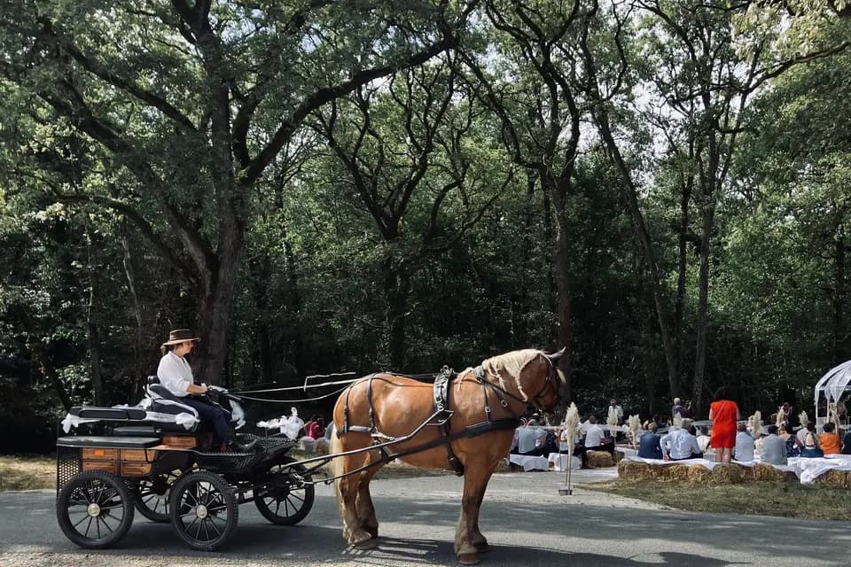 Au Pas de Cadence — photo 2