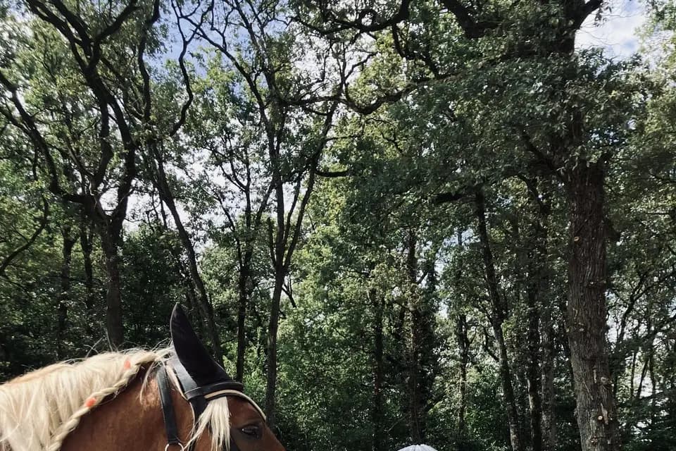 Au Pas de Cadence — photo 3