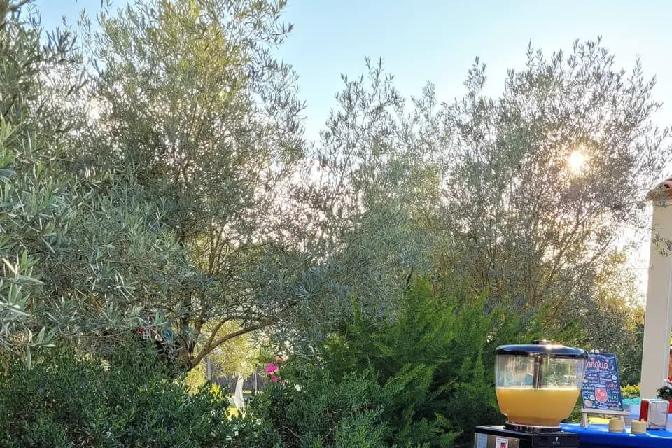 Restonomade — photo 5