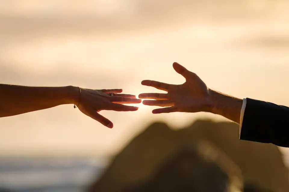 La Dorée — photo 3