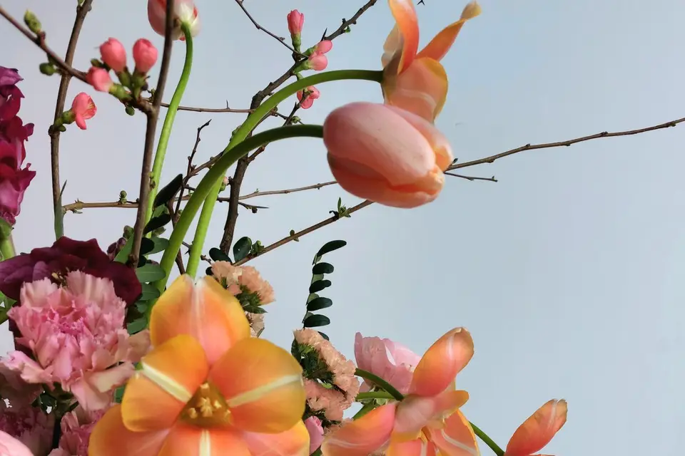 Panorama — photo 1