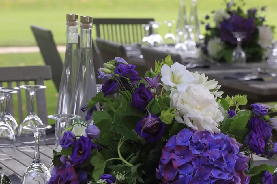 Panorama — photo 5