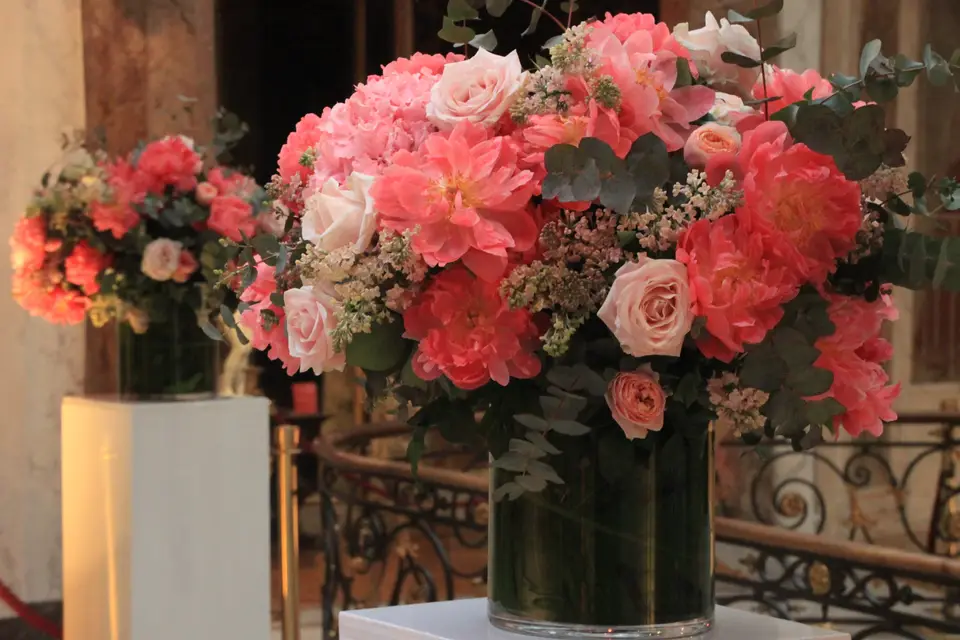 Panorama — photo 8