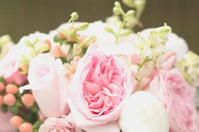 Alba Fleurs — photo 1