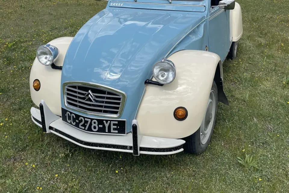 Cicetti Guillaume — photo 1